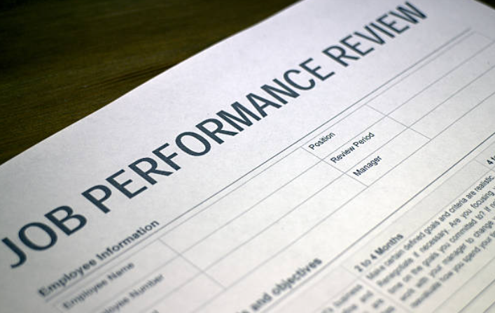 Annual Employee Performance Review