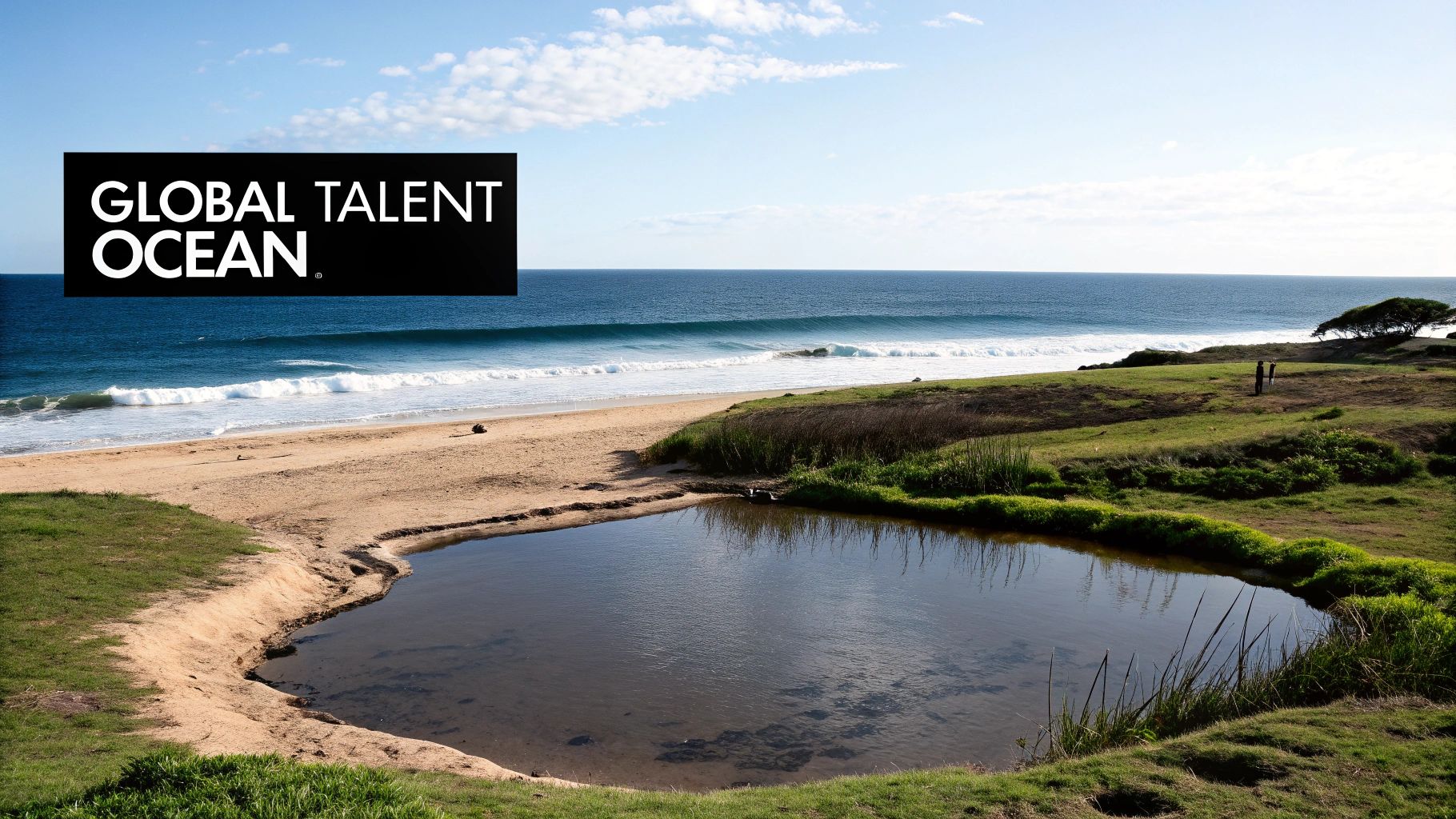 ocean of talent