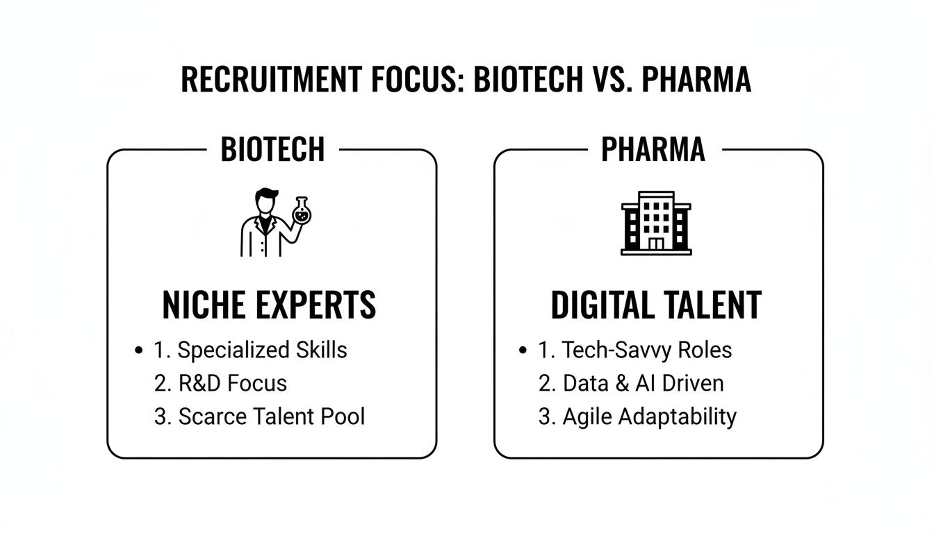 recruitment challenges in biotech vs pharma